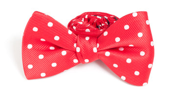 Allure Dot Bow Tie Collection